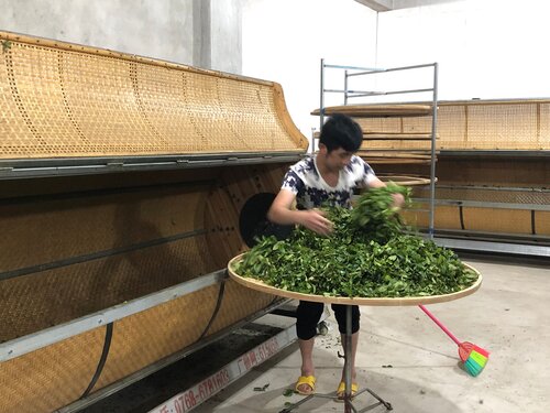 Ju Duo Zai 鋸朵仔
