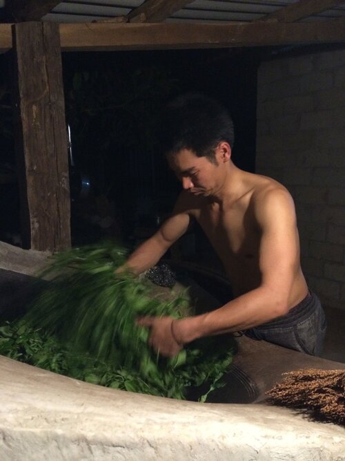 Green Mountain Blend 拼配生茶