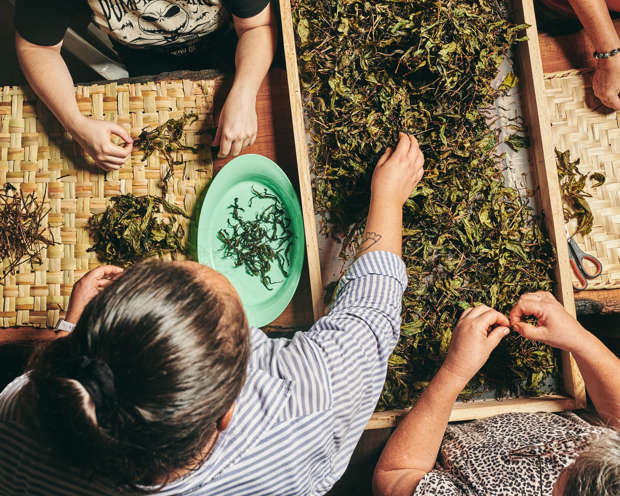 Tea Drunk Producers of the World's Most Prized Loose Leaf Teas