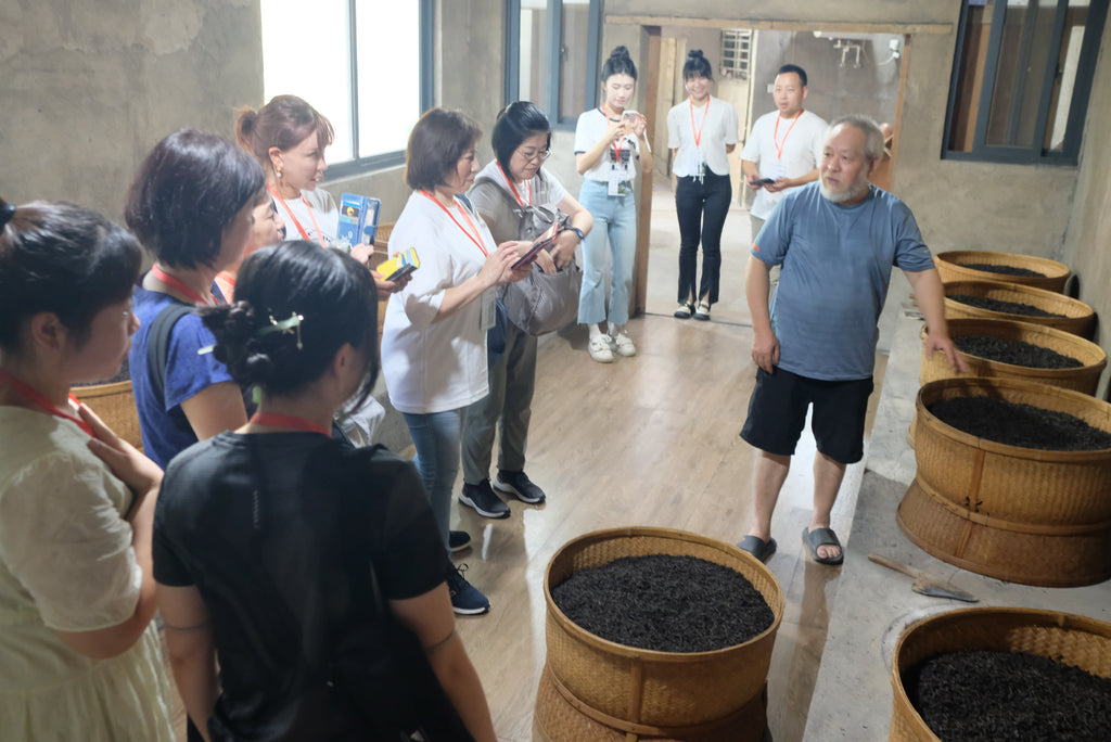 Educational Tea Tour Wu Yi Shan — scene from the tour — second view