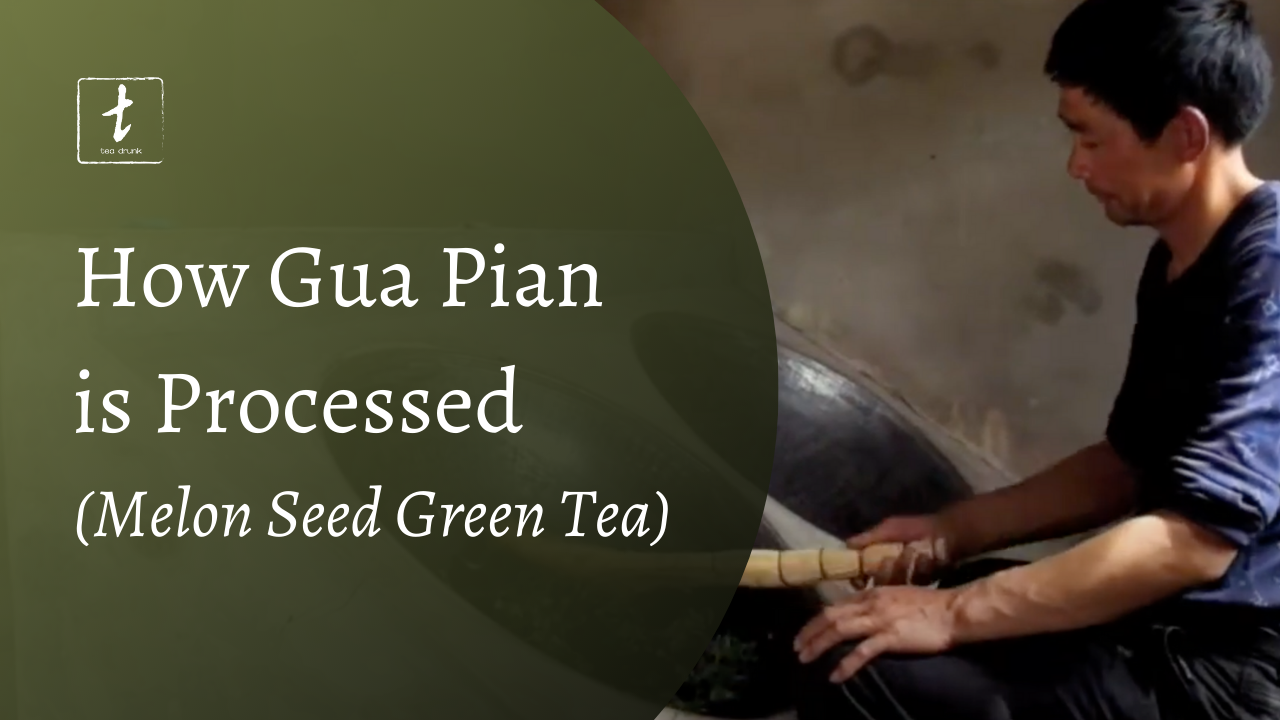 Load video: how Gua Pian green tea is processed