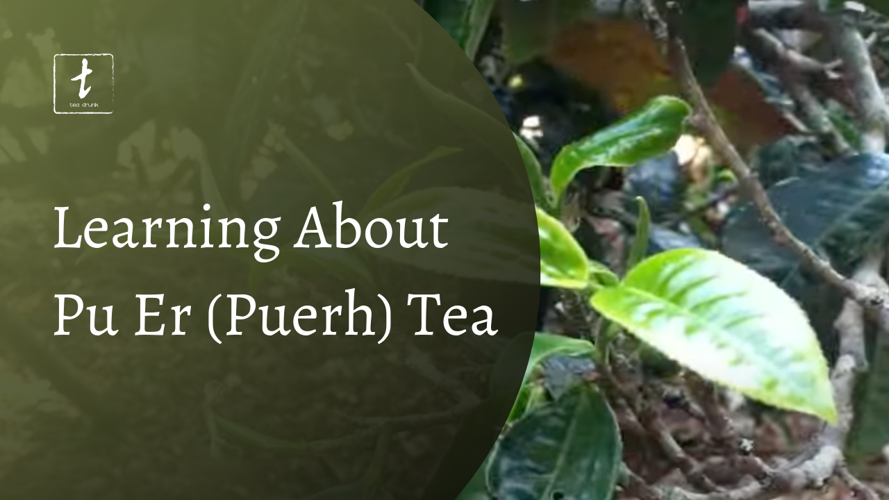 What is Pu Er (Puerh)? Learn Chinese Tea Knowledge | Tea Drunk