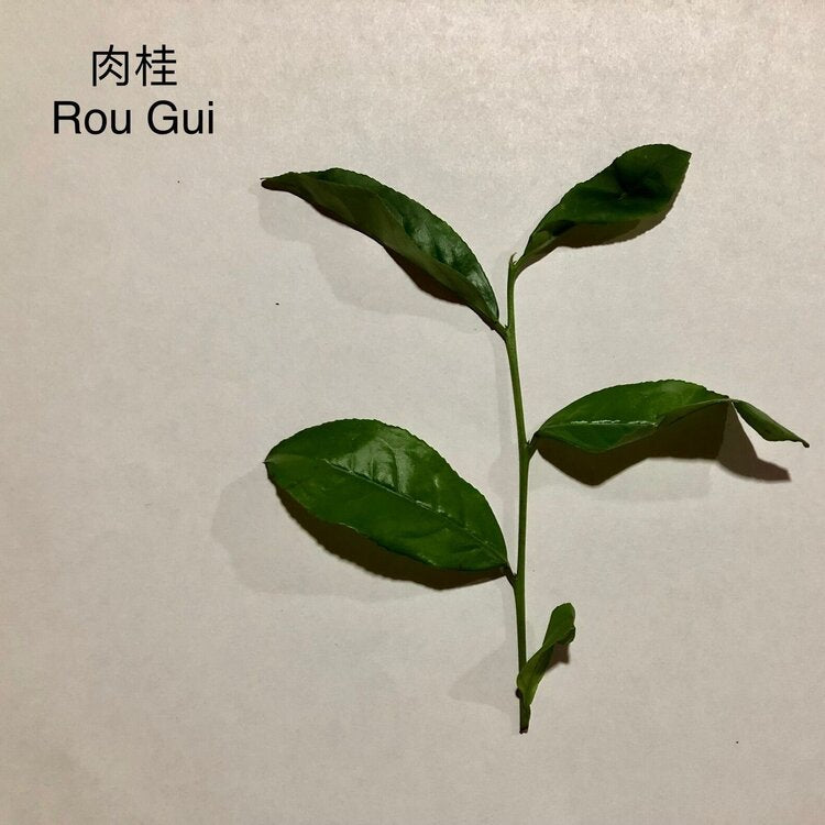 Rou Gui 肉桂 — Reserve Collection