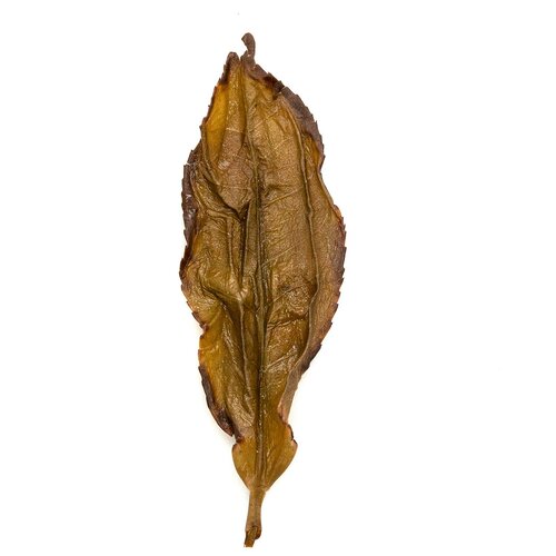 Da Hong Pao (Big Red Robe)