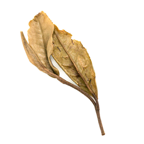 Tea Drunk Everyday: Bai Mu Dan 白牡丹 loose leaf white tea
