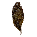 Bei Dou 北斗 Wu Yi Yan Cha loose leaf oolong tea