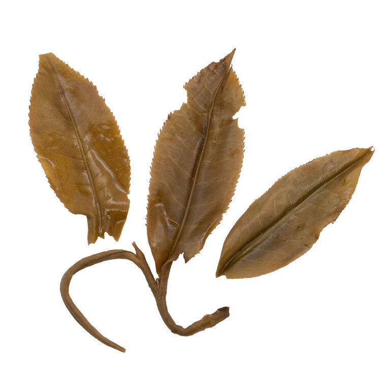 Bu Lang Shan 布朗山 sheng Pu Er tea