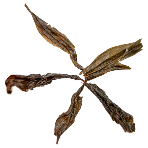 Da Hong Pao (Great Red Robe) 大紅袍 loose leaf oolong tea