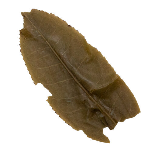 Lin Cang Dong Nong 臨滄東弄 sheng Pu Er tea
