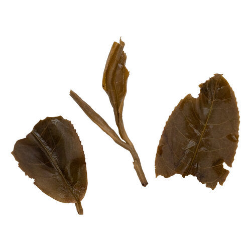 Ge Deng 革登 sheng Pu Er tea