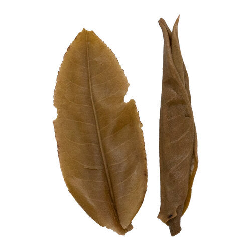 Ge Lang He 格朗和 (Lei Da Shan 雷達山) sheng Pu Er tea