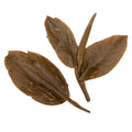 Green Mountain Blend 拼配生茶 sheng Pu Er tea