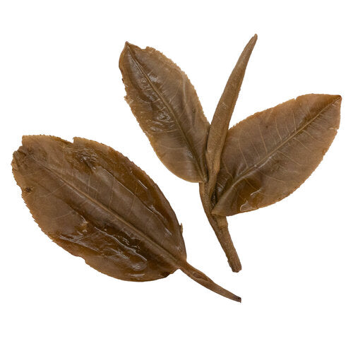 Green Mountain Blend 拼配生茶 sheng Pu Er tea