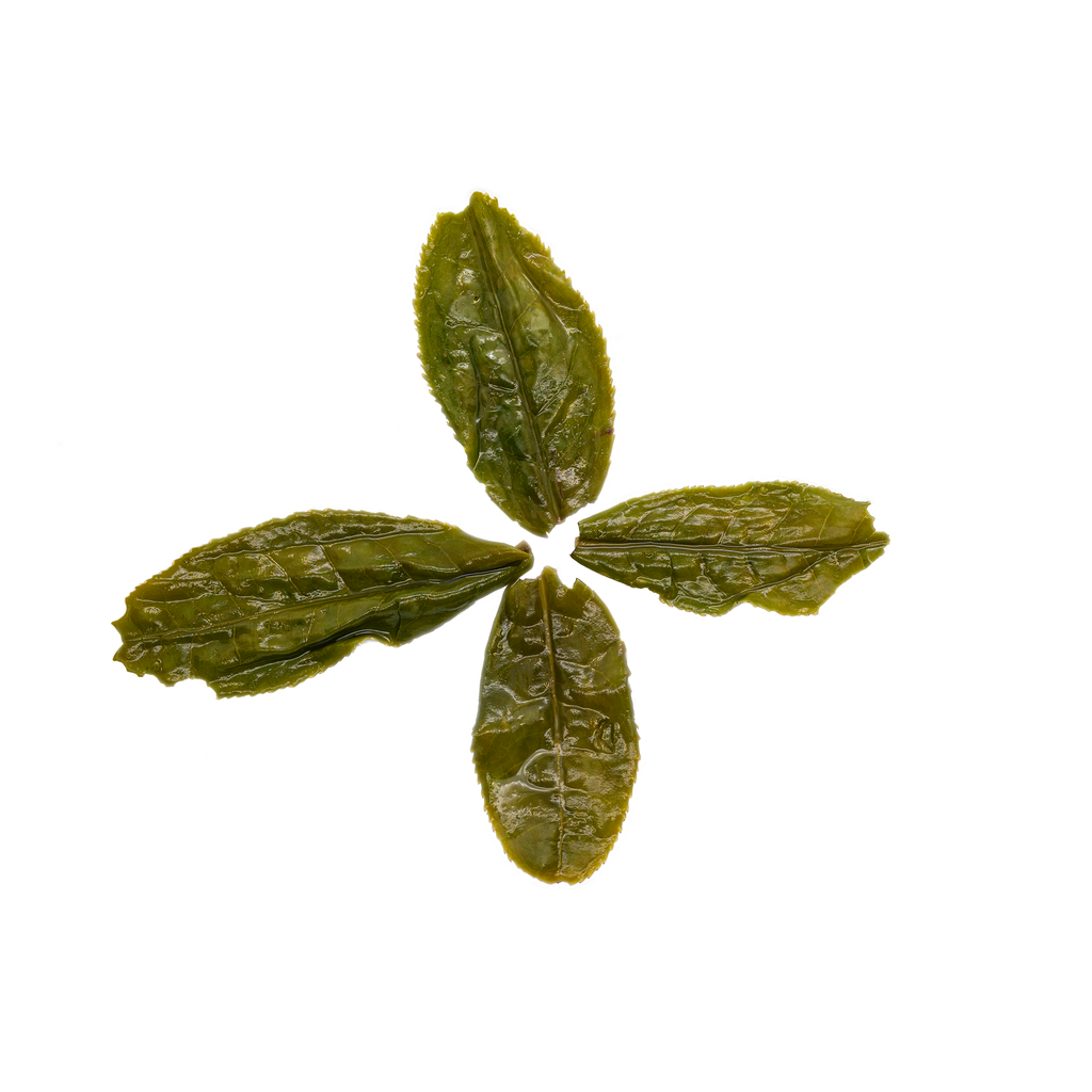 Lu An Gua Pian 六安瓜片 loose leaf green tea