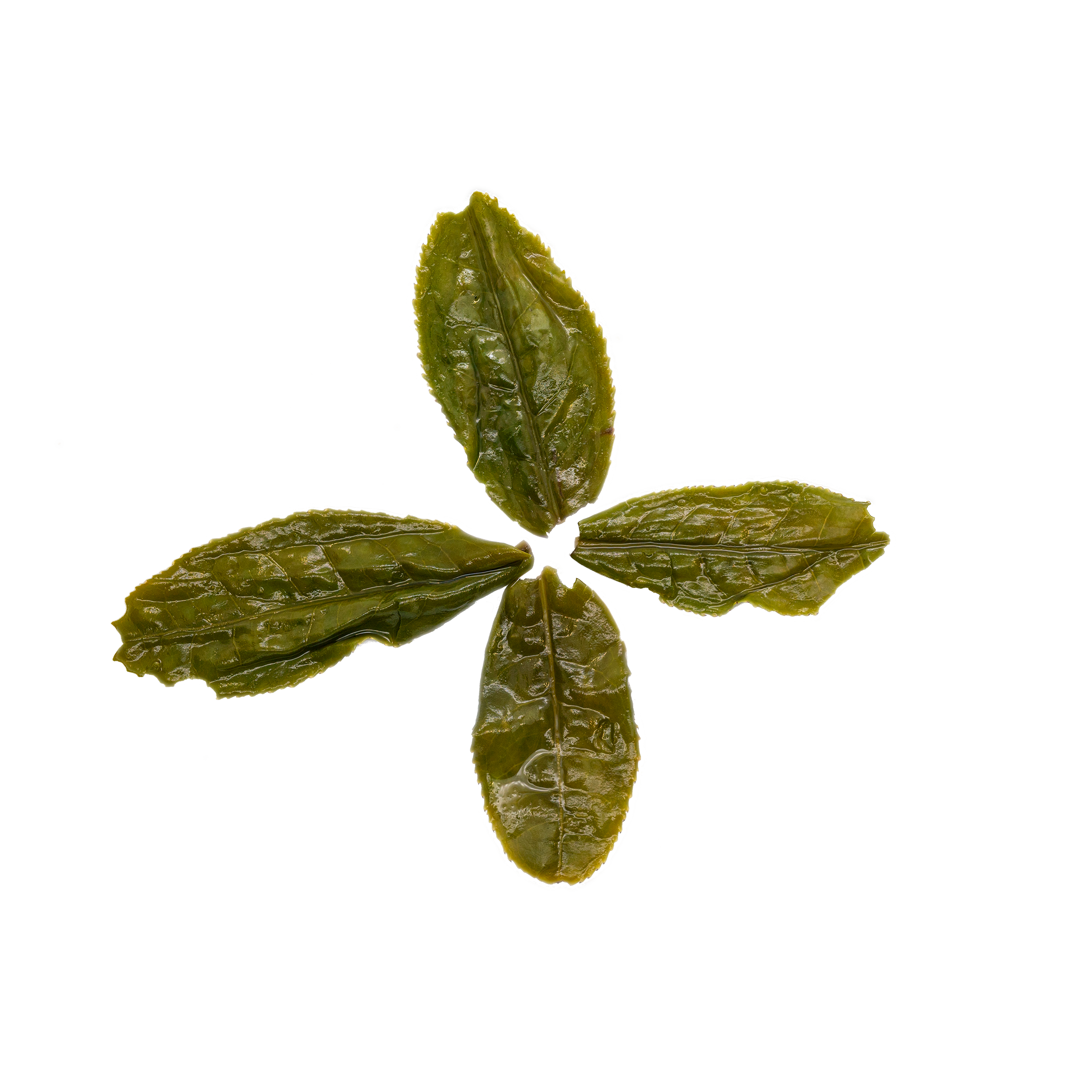 Lu An Gua Pian 六安瓜片 loose leaf green tea
