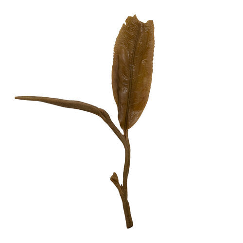 Guo You Lin 國有林 sheng Pu Er tea