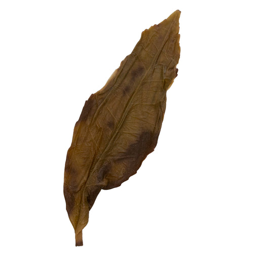 Ji Long Kan 鷄籠刊