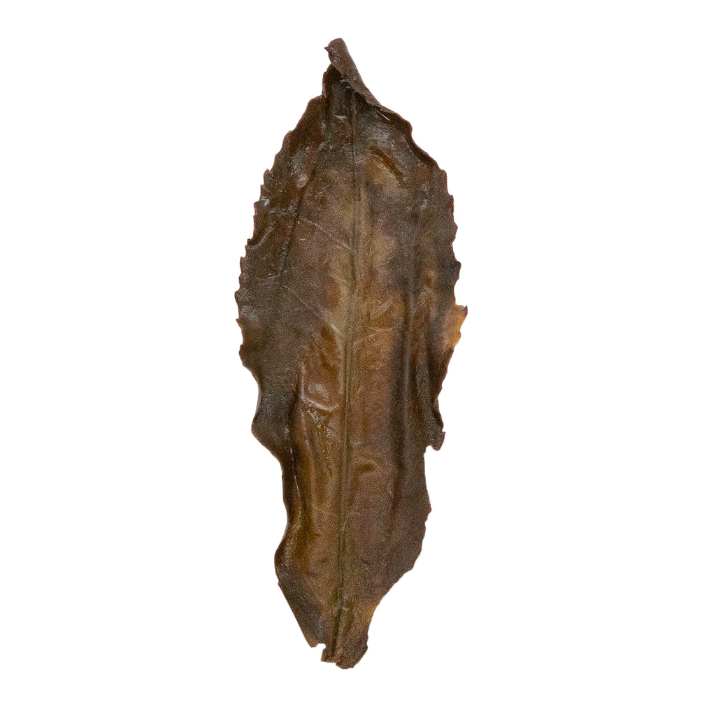 Jin Mu Dan 金牡丹 loose leaf oolong tea