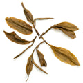 You Le Long Pa 攸樂龍帕 (亞諾) sheng Pu Er tea