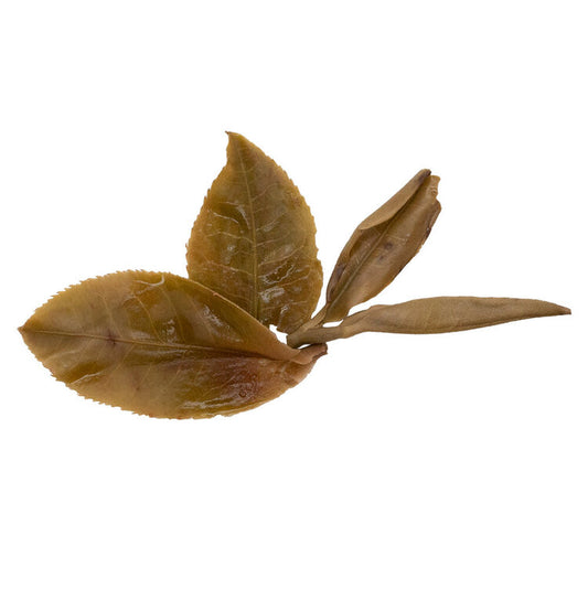Pa Sha 帕沙