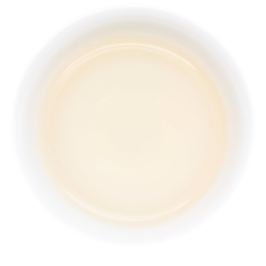 Wild Bai Mu Dan (White Peony) — the brewed liquor