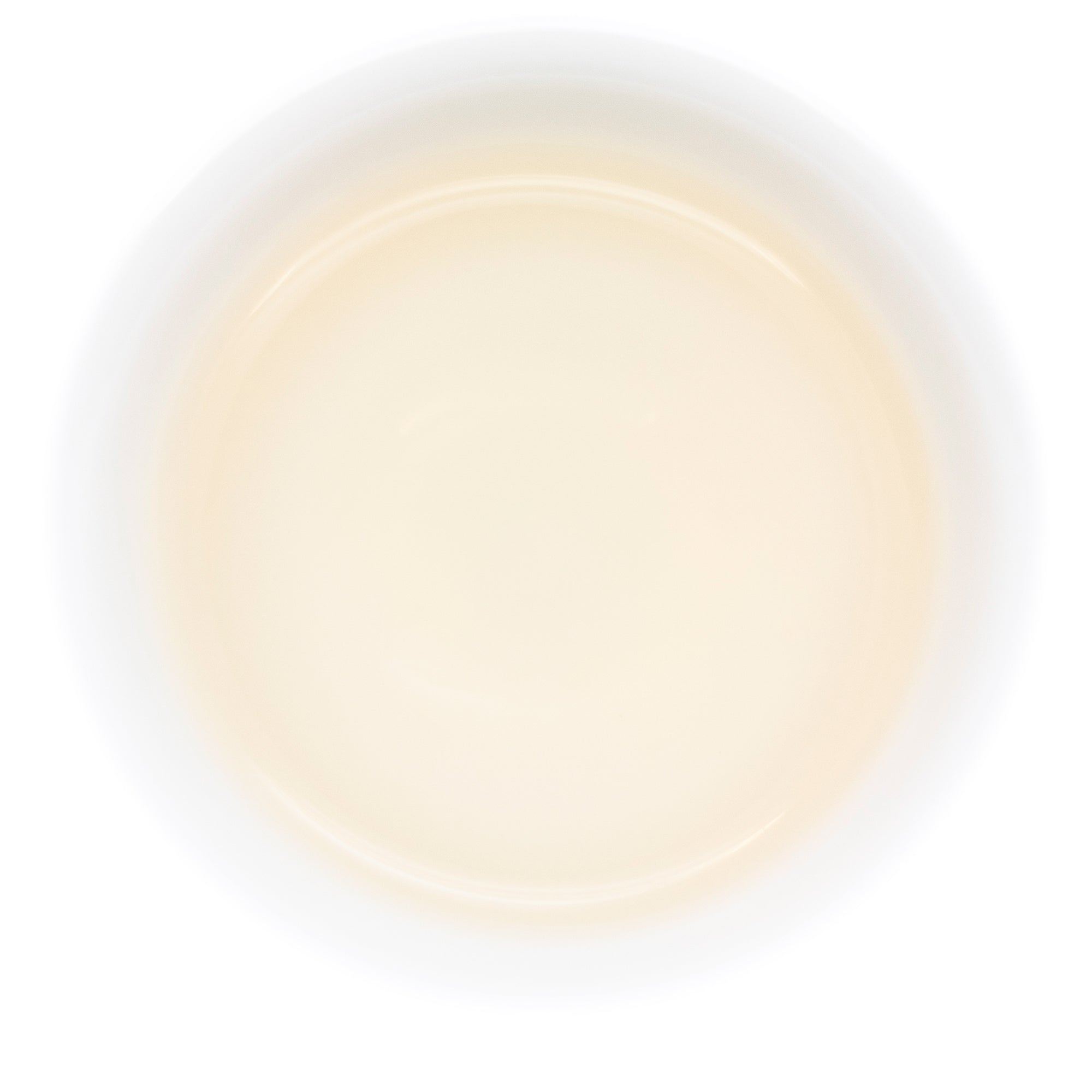 Wild Bai Mu Dan (White Peony) — the brewed liquor