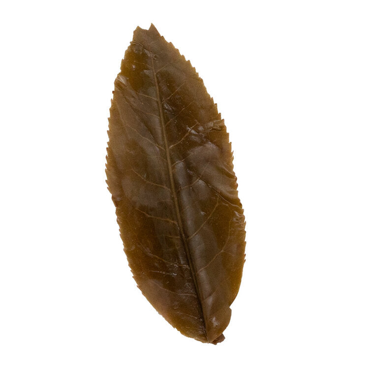 Nan Nuo Shan Ya Kou Zhai 南糯山丫口老寨 sheng Pu Er tea
