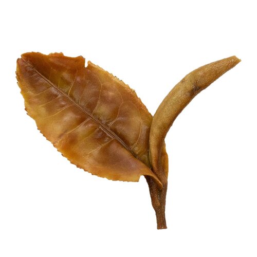 Wu Liang Shan (White Tea) 無量山 (白茶)