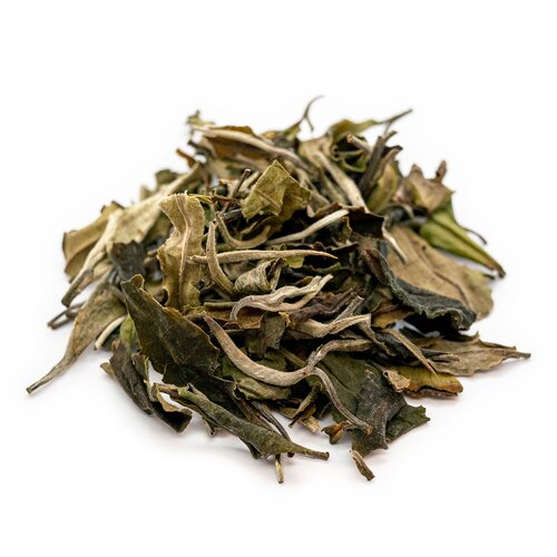 Wu Liang Shan Bai Cha 無量山白茶